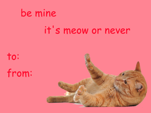 lumin4nce: someone needs to stop me valentines that will make ppl (or cats) like you (part 6/???) di