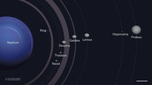 A new moon for NeptuneHippocamp, a previously undetected moon of Neptune, has a peculiar location an