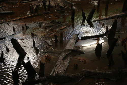 Bronze Age Wooden Causeway and Platform at Flag Fen Bronze Age Centre, Peterborough. This prehistori