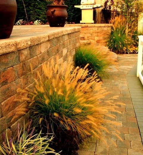 Landscape - Brick Pavers