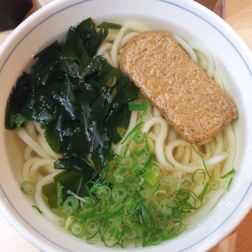 いつかの、松山うどん。やわやわでした#松山空港#ramen #肉#タンメン #から揚げ #海鮮丼 #海鮮#アジ #JAPAN#washoku #1月22日 #ジオタグ復活して#いつか#が好き#なんとな