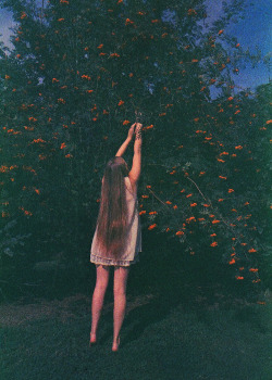 breathingvioletfog:  By Jordan Tiberio. Untitled, Webster, NY. August 2013. http://jordantiberio.tumblr.com/