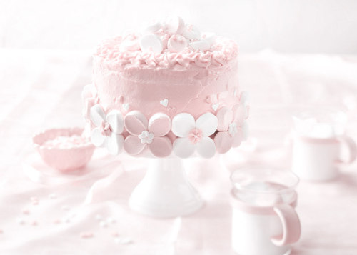 sapphicshimmers:Pink Princess Strawberry Marshmallow Cake by Aeroplane Jelly(please do not delete th