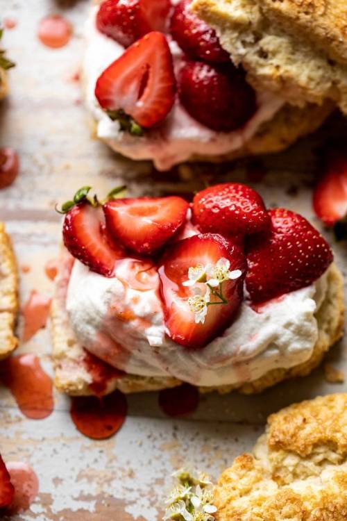 sweetoothgirl: Strawberry Shortcake Desserts (recipes 1, 2, 3, 4, 5, 6, 7, 8, 9, 10) 