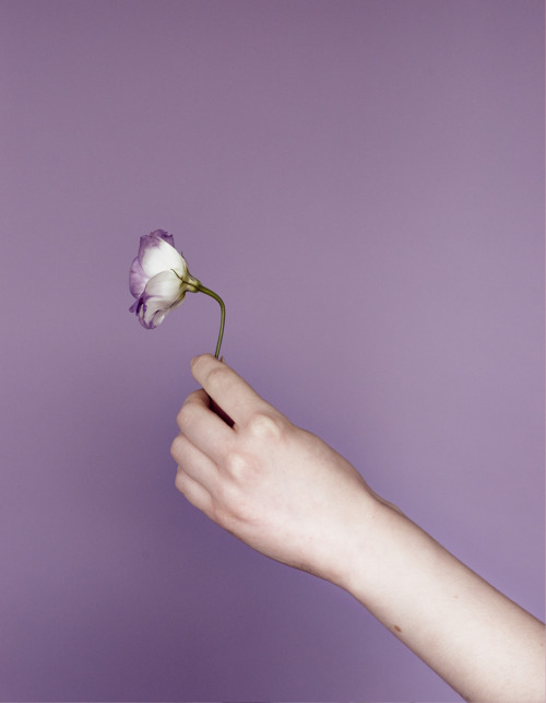 zeummag:Shades of Summer by Ester Keate for Zeum Magazine