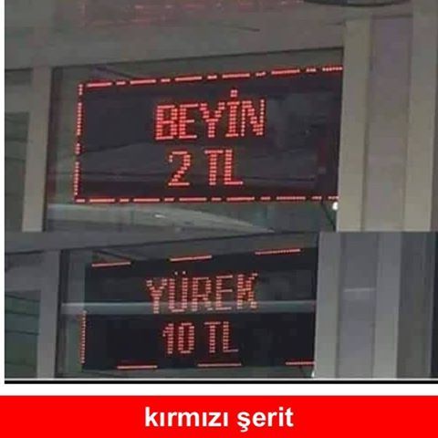 BEYİN 2 TL

YÜREK 10 TL