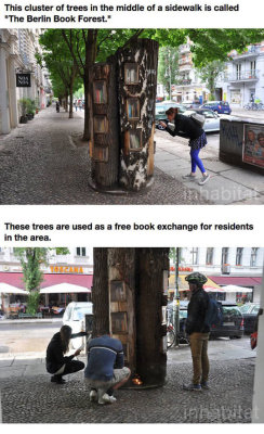 friscolibrary:  pr1nceshawn:    A Neighborhood In Germany Has An Awesome Book Exchange Inside Of Trees    Love this! 