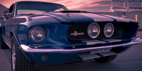 your-dream-cars:  Shelby GT 500 by Greg David on Flickr.