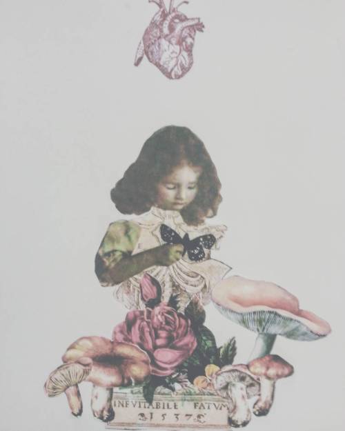 preserved-angel: collages i made in high school