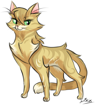I drew a bunch of Warrior cats. :B
