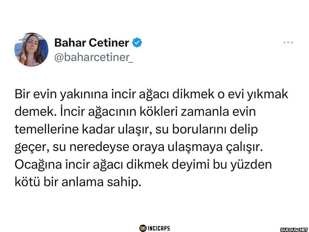 Bahar Cetiner...