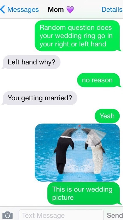 dil-howlters-mirror:SO TODAY I REALIZED THAT WHEN YOU GOOGLE SEARCHED “DOLPHINS IN TUXEDOS” NOTHING COMES UP SO I DECIDED TO PHOTOSHOP ITAFTER PHOTOSHOPPING THE FIRST DOLPHIN, I DECIDED TO MAKE HIM A BRIDE, YOU KNOW, JUST BECAuSETHEN I REALIZED THAT