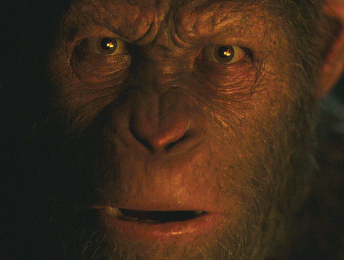 War For The Planet Of The Apes (2017)