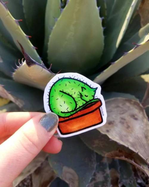 Cat Cactus Sticker //AshLensArt