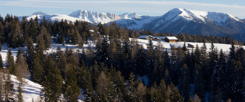 Rodenecker Alm