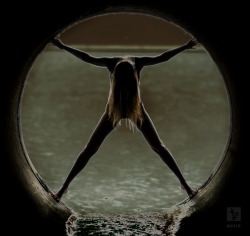 BellaDonna