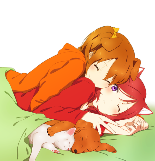 ✧･ﾟ: *✧ Doggo &amp; Neko ✧ *:･ﾟ✧♡ Characters ♡ : Honoka Kousaka ♥ Maki Nishikino ♢ Anime 