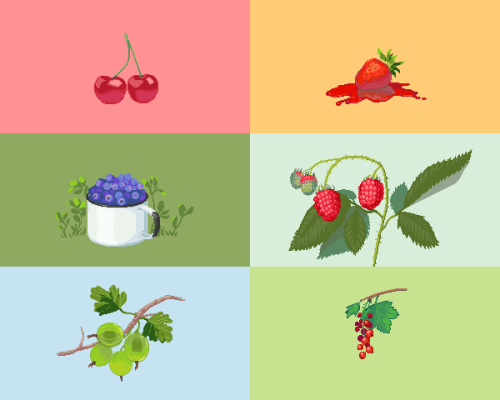 berries