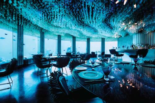 incandescent-angel:  sixpenceee:At the Per Aquum Niyama resort in the Maldives, customers can dine with the fishes while seated at an underwater restaurant. To reach the restaurant, called Subsix, diners must take a speedboat 500 meters from the coast