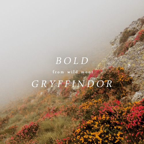 kngmaker:there lived four wizards of renown, whose names are still well-knownimages: gryffindor // r