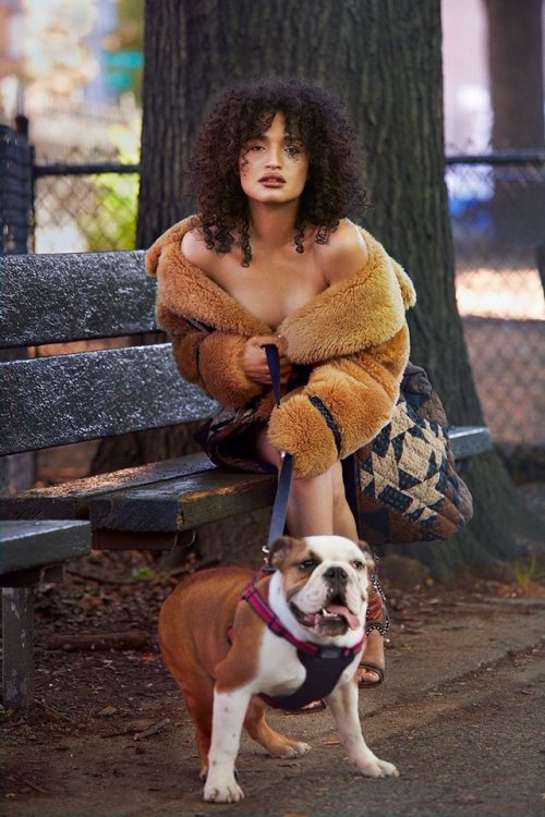 poseonfx:    Mj Rodriguez, Dominique Jackson, and Indya Moore photographed by Danielle Levitt for OUT