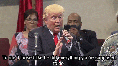 pilotnextdoor:sistabigandthedisillusionedband:nipsndnaps:sweetsavage-shawty:thingstolovefor:Donald T
