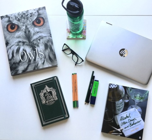 15/02/2018 || What is this??? A slytherin aesthetic post? Or is it me about to start preparing for m