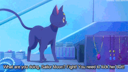 eternal-sailormoon:  Requests:Requested by
