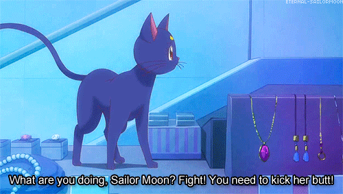 eternal-sailormoon:  Requests:Requested by rubenesque-as-fuck