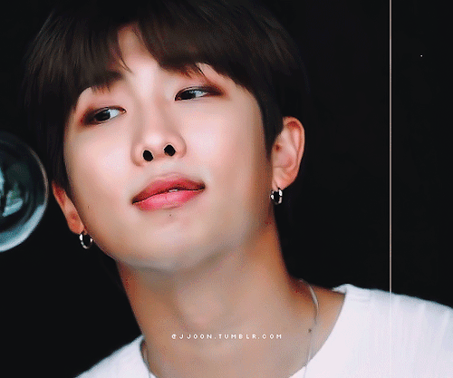 Namjoon X Dicon
