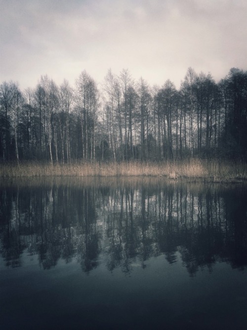 danijelivic: dark reflection | Växjö, Sweden |