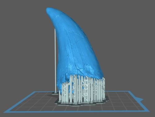 Tyrannosaurus tooth3D sculpting - 3D printing - molding - casting - painting