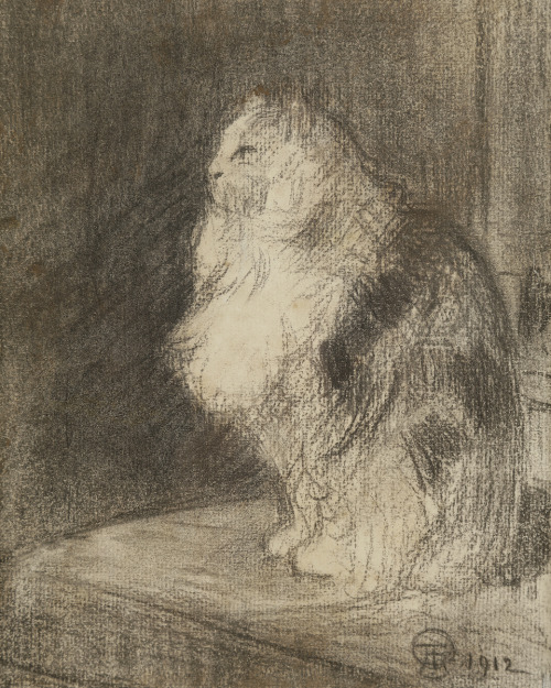 amare-habeo:      Théophile Alexandre Steinlen	(Swiss-French, 1859 - 1923)  The Cat (Chat), 1912  Charcoal drawing, 20.5 x 17 cm 