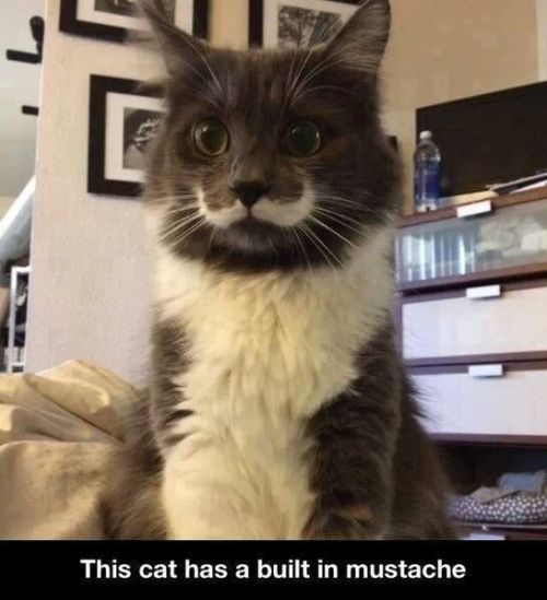 tilly3200:  ha,he’s a gentleman 