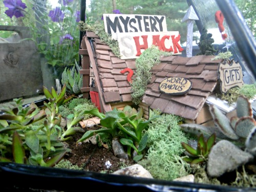 problematicpatrick:Here it is!! My Gravity Falls terrarium inspired by the amazing art stickydoona d