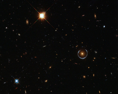 An interesting galaxy has been circled in this NASA/ESA Hubble Space Telescope image. The galaxy &md