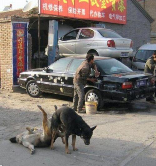 padecirctm:  Te paseo