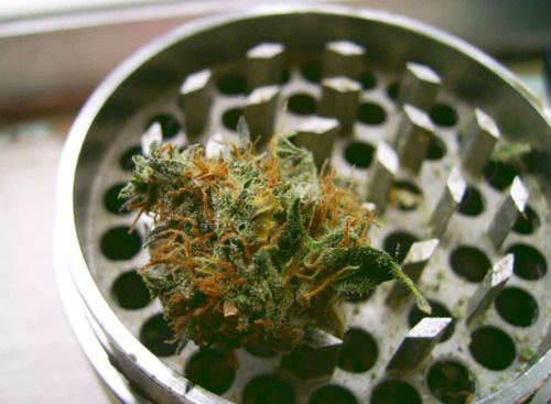 Grow Weed. Smoke Weed.