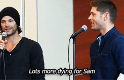 theflavourofyourlips:  Supernatural in a nutshell(x) 