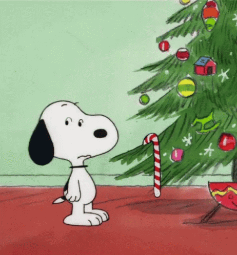 Happy Christmas Eve Pooks!!!!! 