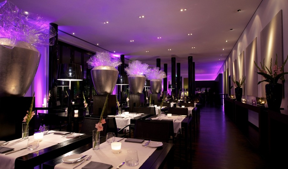 baetology:  purple moods // @thevarnellmancan