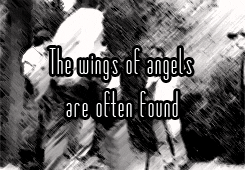 zuzzolek-deactivated20150812:  The wings of angels are often found on the backs of