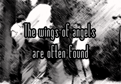 zuzzolek-deactivated20150812:  The wings of angels are often found on the backs of the least likely people. 