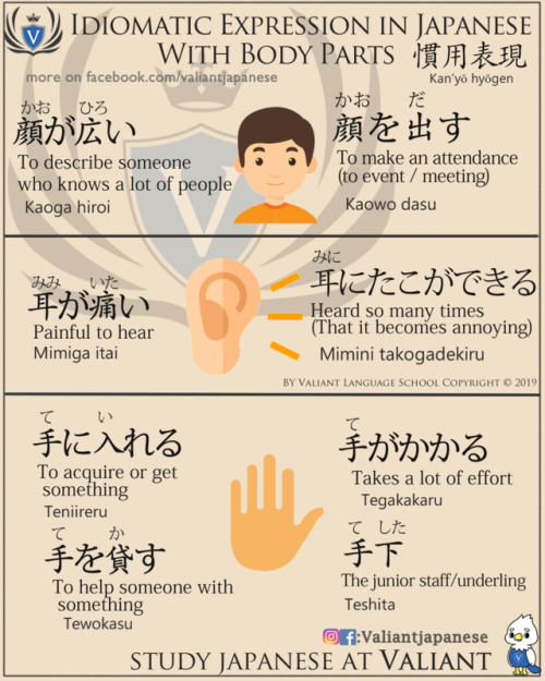 Japanese slangs using a body parts.more on http://www.instagram.com/valiantjapanese