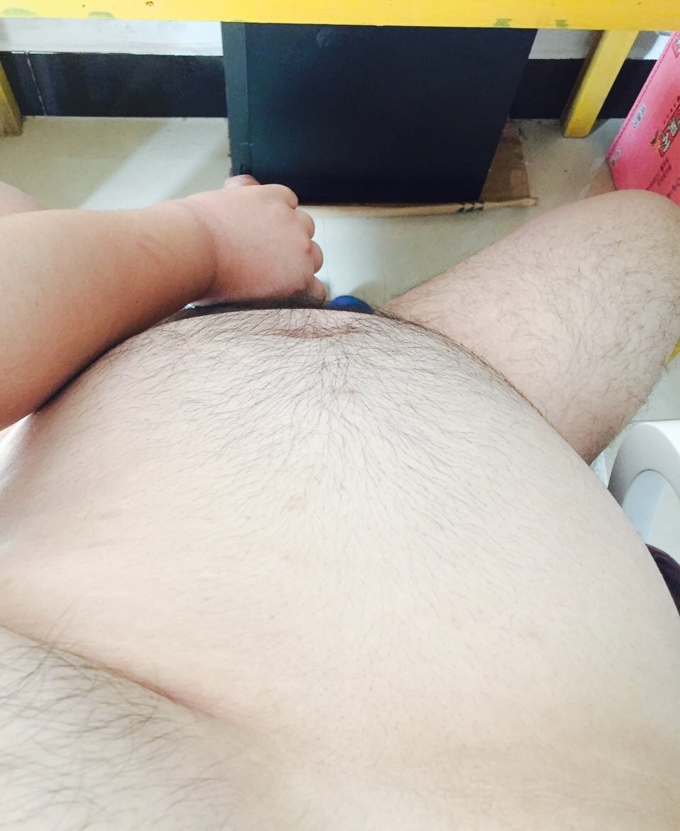 Asia bear