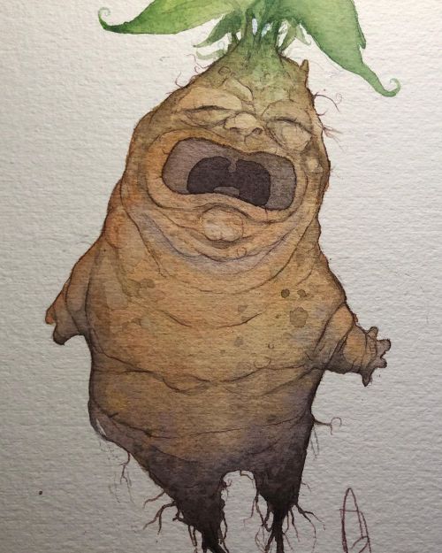 Paintober creatures week 2: Harry Potter mandrake #paintober #inktober2020 #inktober #watercolorpain