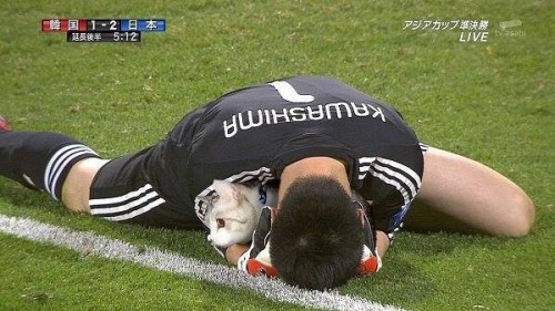 milkchocolatepuppies:volcainist:Goalkeepers’ balls get photoshopped into cats.This is so natural. Li