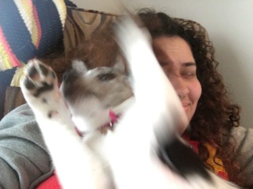 Yes Hello 911 My Dog Is Fucking Crazy