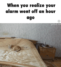 Totally Lost
