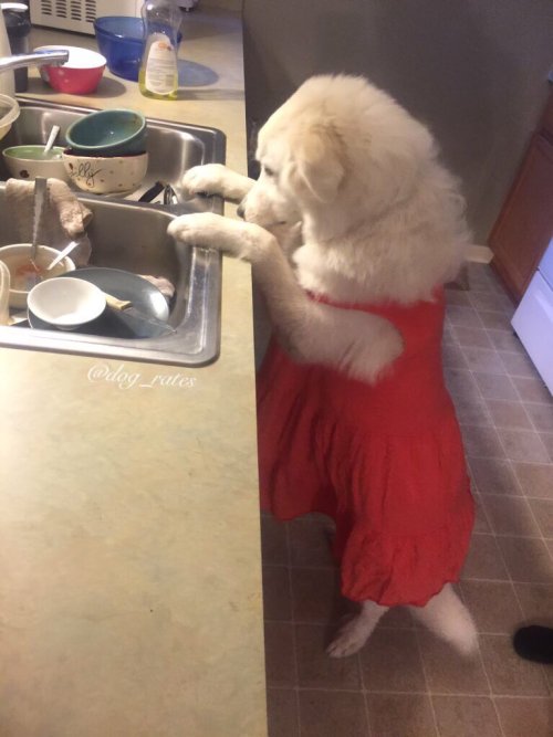 spankmehardbarry: “y'all use all these dishes yet im the one who has to clean it up…..tired of being